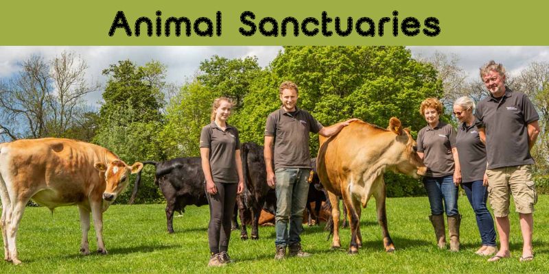 Animal Sanctuaries