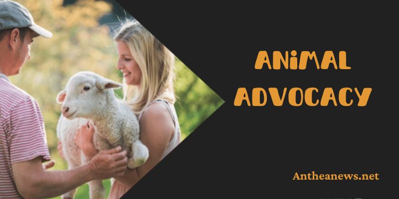Animal Advocacy